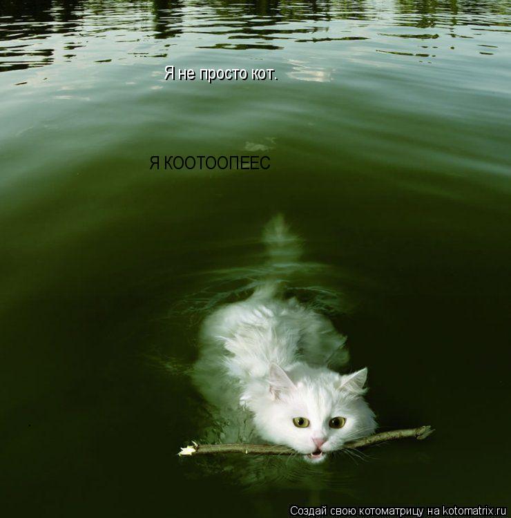 Я не просто кот. Я КООТООПЕЕС... Котоматрица: Я не просто кот. Я КООТООПЕЕС