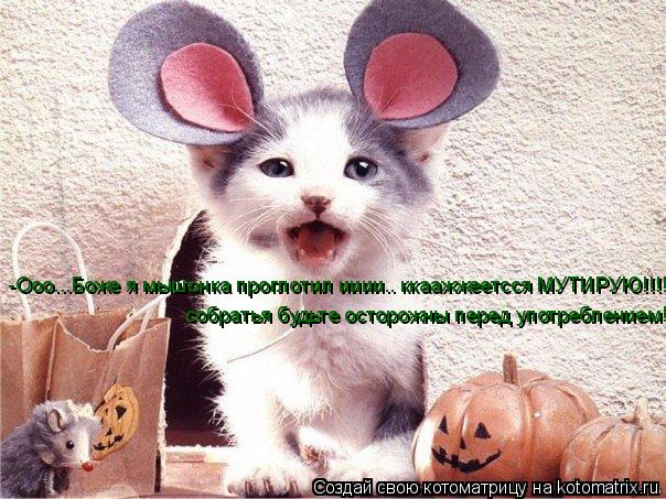Котоматрица: -Ооо...Боже я мышонка проглотил ииии.. ккаажжеетсся МУТИРУЮ!!!!!!!!собратья будьте осторожны перед употреблением! собратья будьте осторожны пе