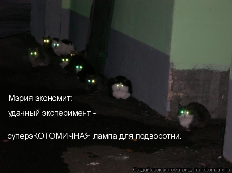 Мэрия экономит: удачный эксперимент - суперэКОТОМИЧНАЯ лампа для подворотни.... Котоматрица: Мэрия экономит: удачный эксперимент - суперэКОТОМИЧНАЯ лампа для подворотни.