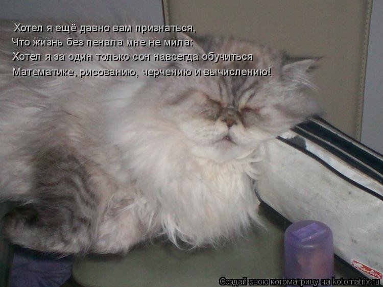Котоматрица: Хотел я ещё давно вам признаться, Что жизнь без пенала мне не мила: Математике, рисованию, черчению и вычислению! Хотел я за один только сон н