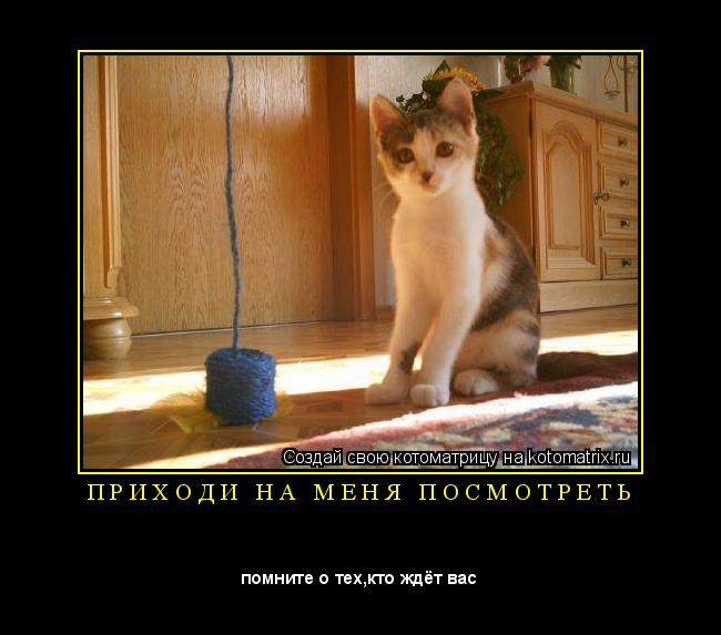 Котоматрица: П Р И Х О Д И   Н А   М Е Н Я   П О С М О Т Р Е Т Ь 