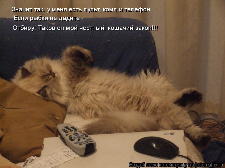 Значит так: у меня есть пульт, комп и телефон Если рыбки не дадите - Отбиру! Таков он мой честный, ко... Котоматрица: Значит так: у меня есть пульт, комп и телефон Если рыбки не дадите - Отбиру! Таков он мой честный, кошачий закон!!!