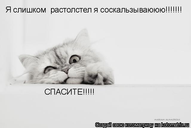 Котоматрица: Я слишком  растолстел я соскальзываююю!!!!!!! СПАСИТЕ!!!!!
