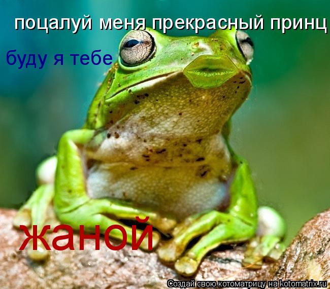 Котоматрица: поцалуй меня прекрасный принц буду я тебе жаной