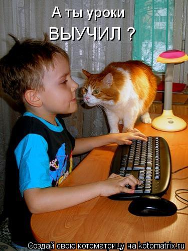 Котоматрица: А ты уроки ВЫУЧИЛ ?