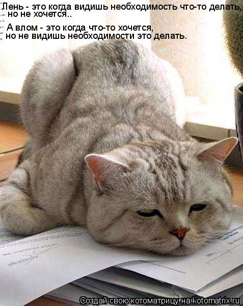 Лень - это когда видишь необходимость что-то делать, но не хочется.. А влом - это когда что-то хочет... Котоматрица: Лень - это когда видишь необходимость что-то делать, но не хочется.. А влом - это когда что-то хочется, но не видишь необходимости это делать.