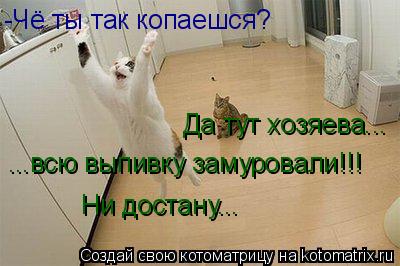 Котоматрица: -Чё ты так копаешся?  Да тут хозяева... ...всю выпивку замуровали!!! Ни достану...