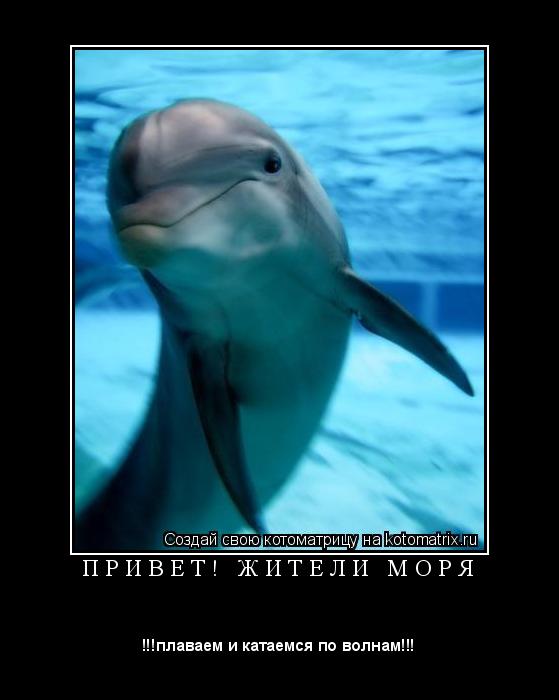 П Р И В Е Т ! Ж И Т Е Л И М О Р Я ... Котоматрица: П Р И В Е Т ! Ж И Т Е Л И М О Р Я