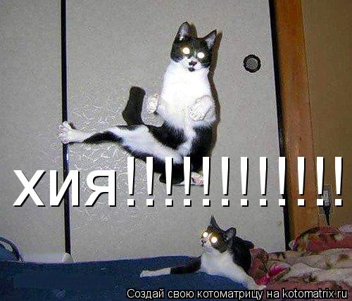 Котоматрица: хия!!!!!!!!!!!!!!!