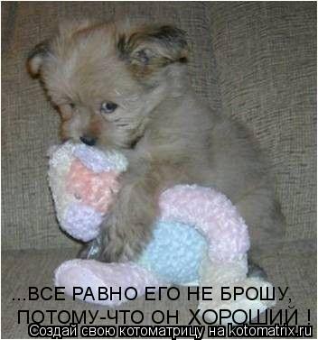 Котоматрица: ...ВСЕ РАВНО ЕГО НЕ БРОШУ, ПОТОМУ-ЧТО ОН  ХОРОШИЙ !