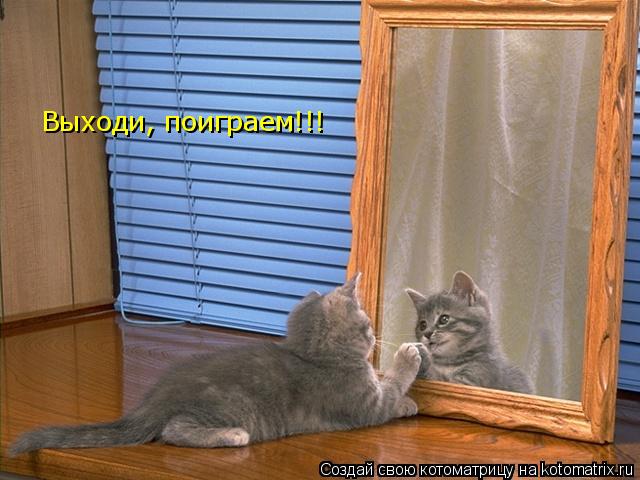 Котоматрица: Выходи, поиграем!!!