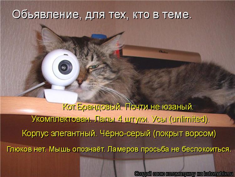 Котоматрица: Обьявление, для тех, кто в теме. Кот.Брандовый. Почти не юзаный. Укомплектован. Лапы 4 штуки. Усы (unlimited). Корпус элегантный. Чёрно-серый (покрыт