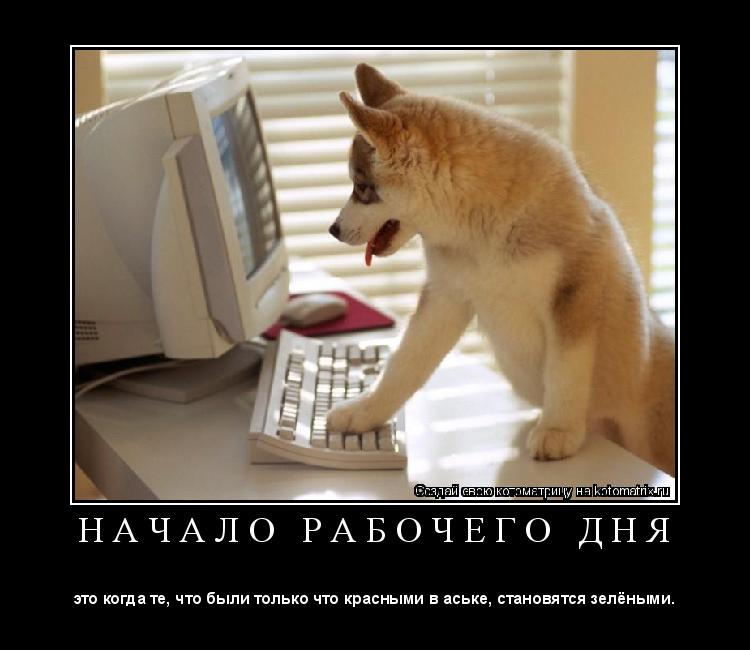 Котоматрица: Н А Ч А Л О   Р А Б О Ч Е Г О   Д Н Я 
