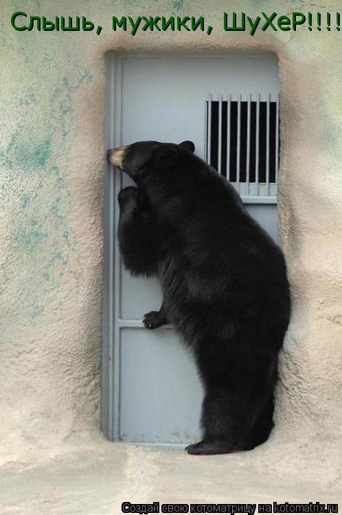 Котоматрица: Слышь, мужики, ШуХеР!!!!