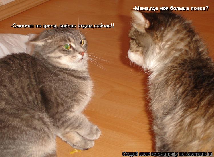 Котоматрица: -Мама,где моя больша ложка? -Сыночек не кричи, сейчас отдам,сейчас!!