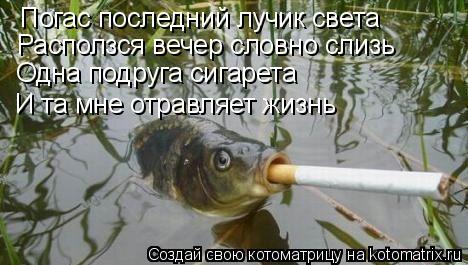 Котоматрица: Погас последний лучик света Расползся вечер словно слизь Одна подруга сигарета И та мне отравляет жизнь