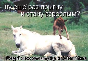 Котоматрица: ну еще раз прыгну и стану взрослым?