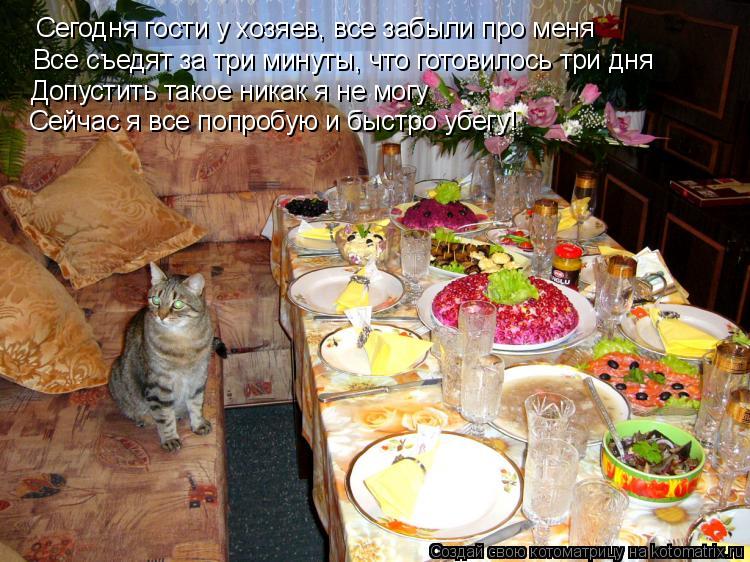 Котоматрица: Сегодня гости у хозяев, все забыли про меня Сегодня гости у хозяев, все забыли про меня Все съедят за три минуты, что готовилось три дня Допу