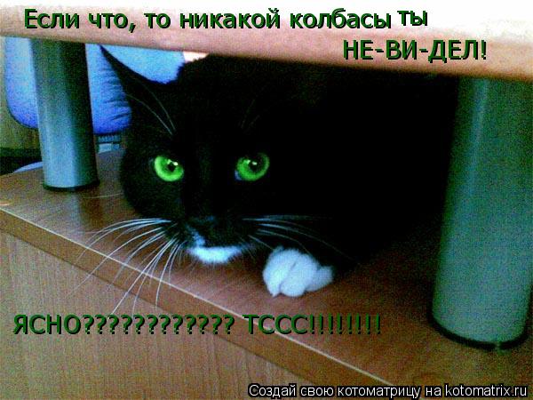 Котоматрица: Если что, то никакой колбасы ты  НЕ-ВИ-ДЕЛ! ЯСНО???????????? ТССС!!!!!!!!