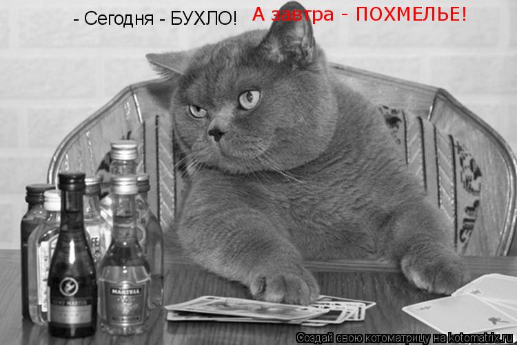 Котоматрица: - Сегодня - БУХЛО! А завтра - ПОХМЕЛЬЕ!