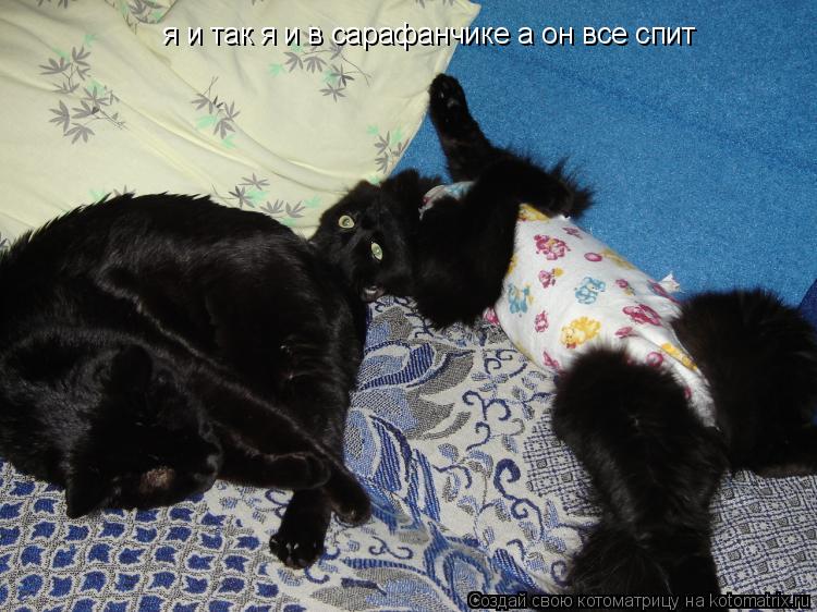 Котоматрица: я и так я и в сарафанчике а он все спит