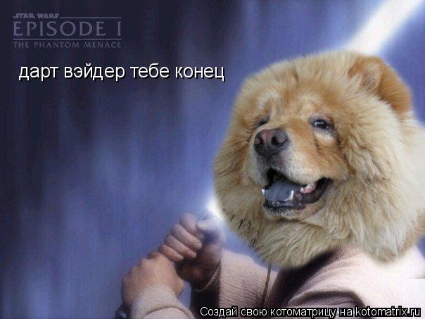 Котоматрица: дарт вэйдер тебе конец