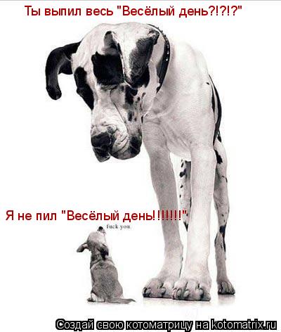 Котоматрица: Ты выпил весь "Весёлый день?!?!?" Я не пил "Весёлый день!!!!!!!"