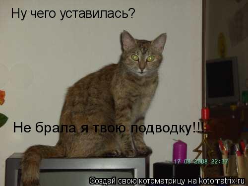 Котоматрица: Ну чего уставилась? Не брала я твою подводку!!!