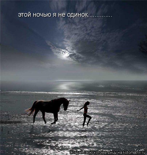 Котоматрица: этой ночью я не одинок.............. этой ночью я не одинок..............