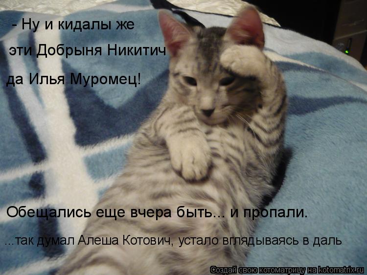 Котоматрица: - Ну и кидалы же эти Добрыня Никитич да Илья Муромец! Обещались еще вчера быть... и пропали. ...так думал Алеша Котович, устало вглядываясь в да
