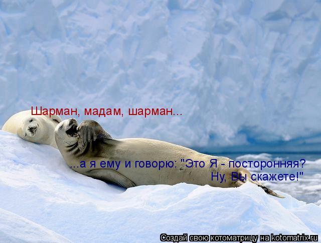 Котоматрица: ...а я ему и говорю: "Это Я - посторонняя? Ну, Вы скажете!" Шарман, мадам, шарман...