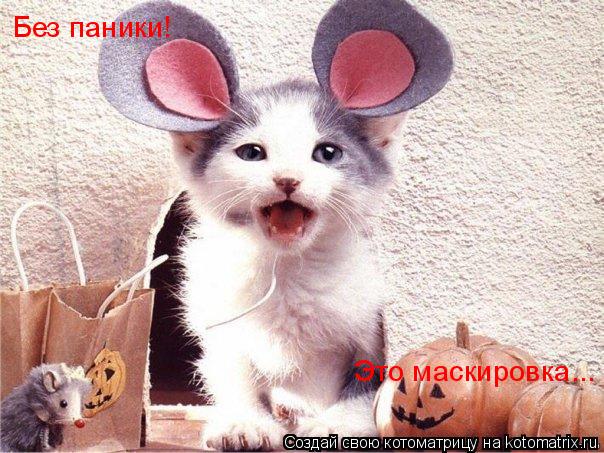 Без паники! Это маскировка...... Котоматрица: Без паники! Это маскировка...