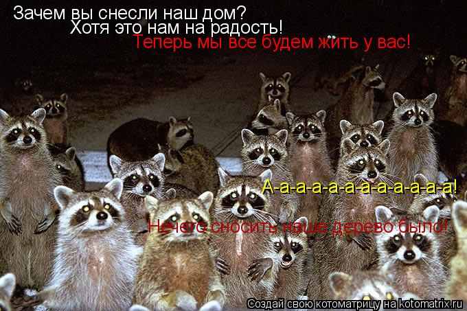 Котоматрица: Зачем вы снесли наш дом? Хотя это нам на радость! Теперь мы все будем жить у вас! А-а-а-а-а-а-а-а-а-а-а-а! Нечего сносить наше дерево было!
