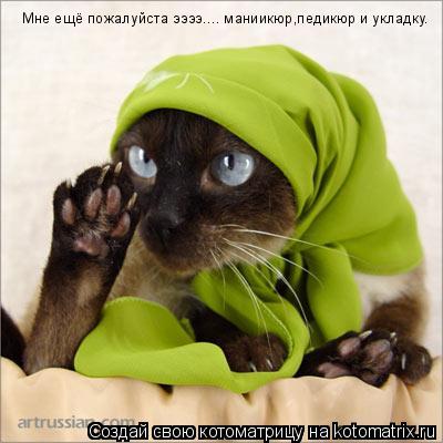 Котоматрица: Мне ещё пожалуйста ээээ.... маниикюр,педикюр и укладку.