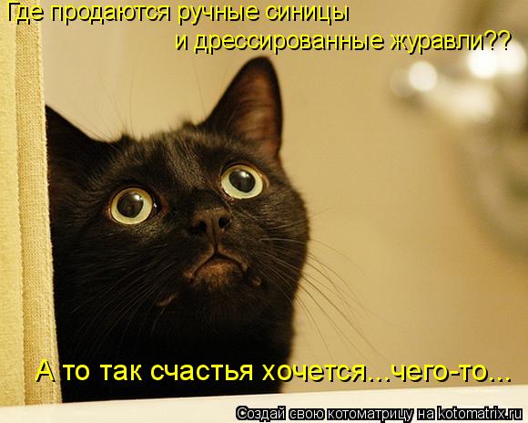 Котоматрица: Где продаются ручные синицы  и дрессированные журавли??  А то так счастья хочется...чего-то...