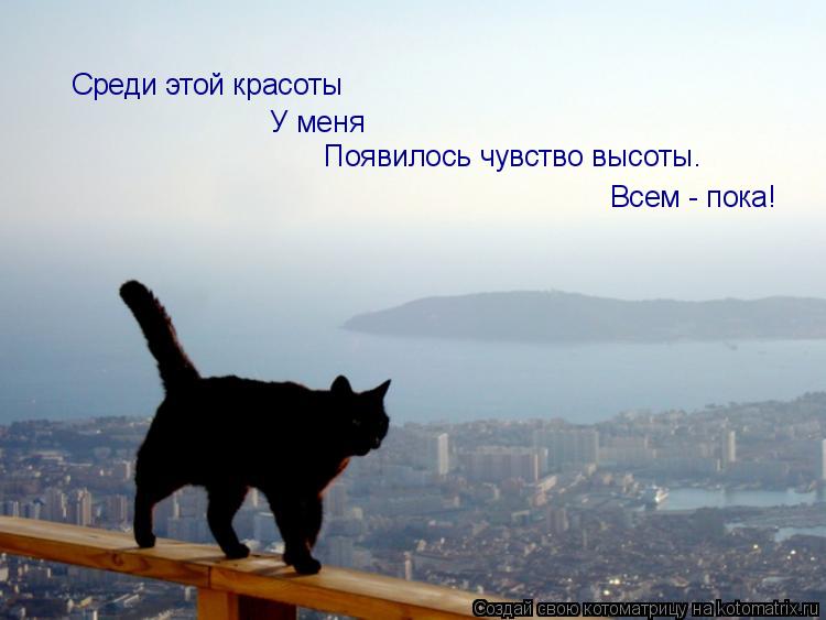 Котоматрица: Среди этой красоты У меня Появилось чувство высоты. Всем - пока!
