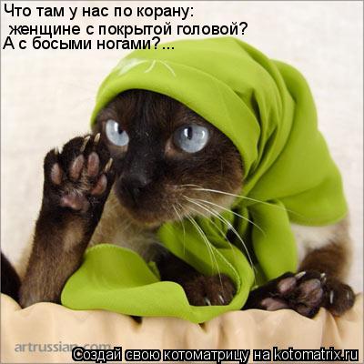 Котоматрица: Что там у нас по корану:  женщине с покрытой головой? А с босыми ногами?...