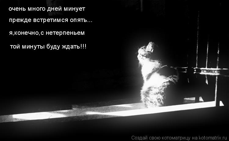 Котоматрица: очень много дней минует очень много дней минует прежде встретимся опять... я,конечно,с нетерпеньем той минуты буду ждать!!!