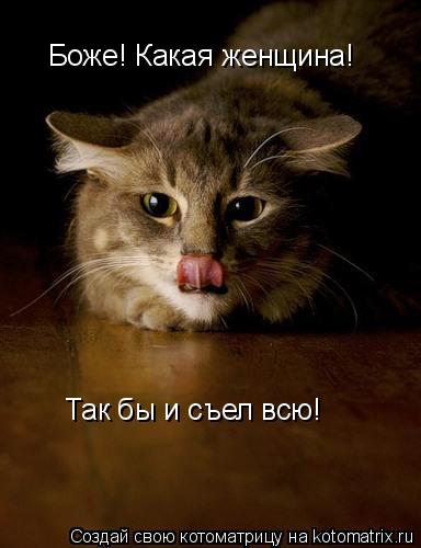 Котоматрица: Боже! Какая женщина! Так бы и съел всю!