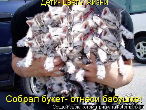 Котоматрица: Дети- цветы жизни Собрал букет- отнеси бабушке!