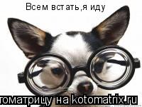 Котоматрица: Всем встать,я иду