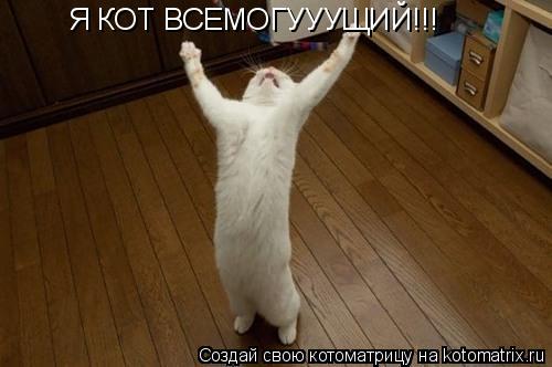 Котоматрица: Я КОТ ВСЕМОГУУУЩИЙ!!!