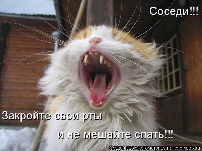 Котоматрица: Соседи!!! Закройте свои рты и не мешайте спать Закройте свои рты  и не мешайте спать!!!