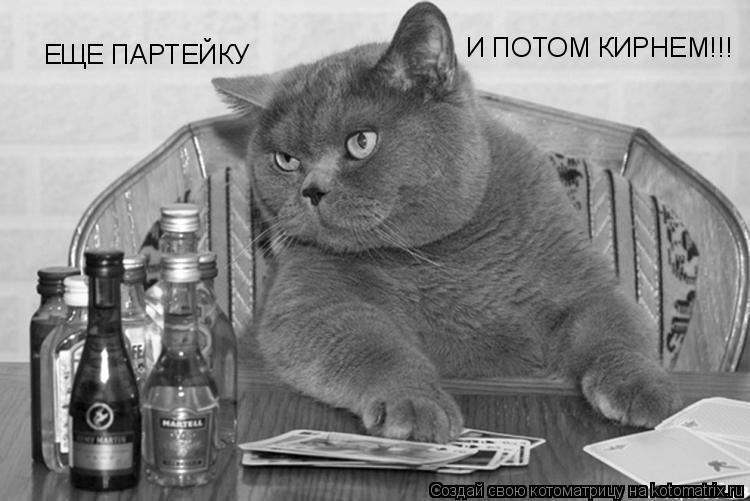 Котоматрица: ЕЩЕ ПАРТЕЙКУ И ПОТОМ КИРНЕМ!!!