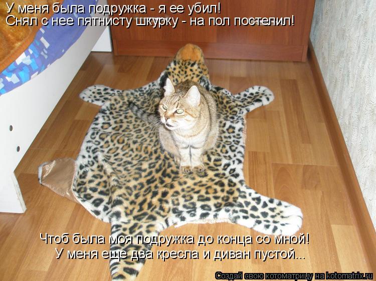 Котоматрица: У меня была подружка - я ее убил! Снял с нее пятнисту шкурку - на пол постелил! Чтоб была моя подружка до конца со мной! У меня еще два кресла и 