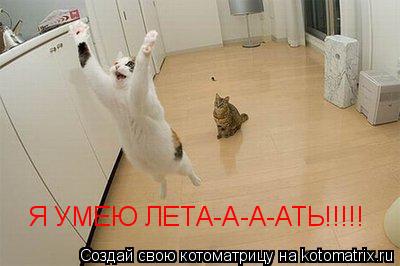 Котоматрица: Я УМЕЮ ЛЕТА-А-А-АТЬ!!!!!