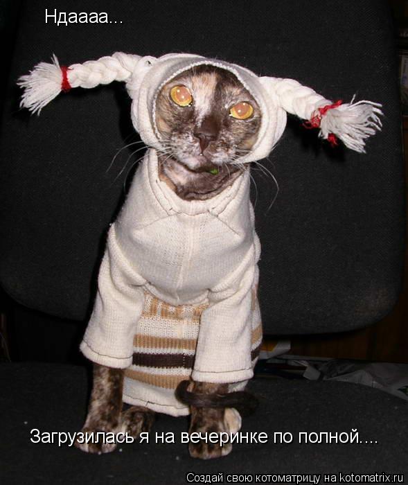 Котоматрица: Ндаааа... Загрузилась я на вечеринке по полной....