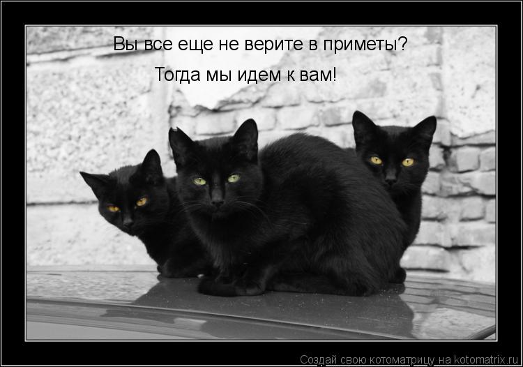 Котоматрица: Вы все еще не верите в приметы? Тогда мы идем к вам!