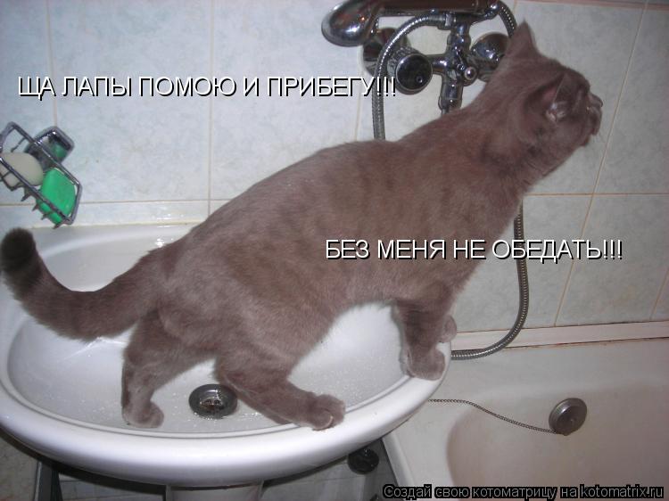 Котоматрица: ЩА ЛАПЫ ПОМОЮ И ПРИБЕГУ!!! БЕЗ МЕНЯ НЕ ОБЕДАТЬ!!!