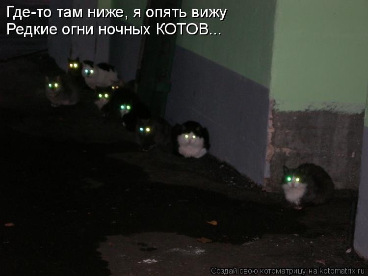 Где-то там ниже, я опять вижу Редкие огни ночных КОТОВ...... Котоматрица: Где-то там ниже, я опять вижу Редкие огни ночных КОТОВ...